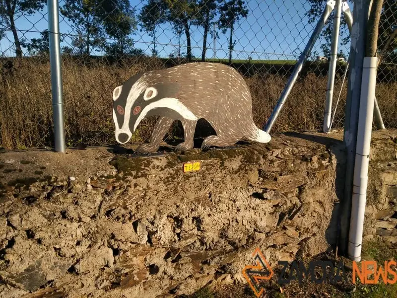 WhatsApp Image 2021-11-08 at 09.37.03 (3)