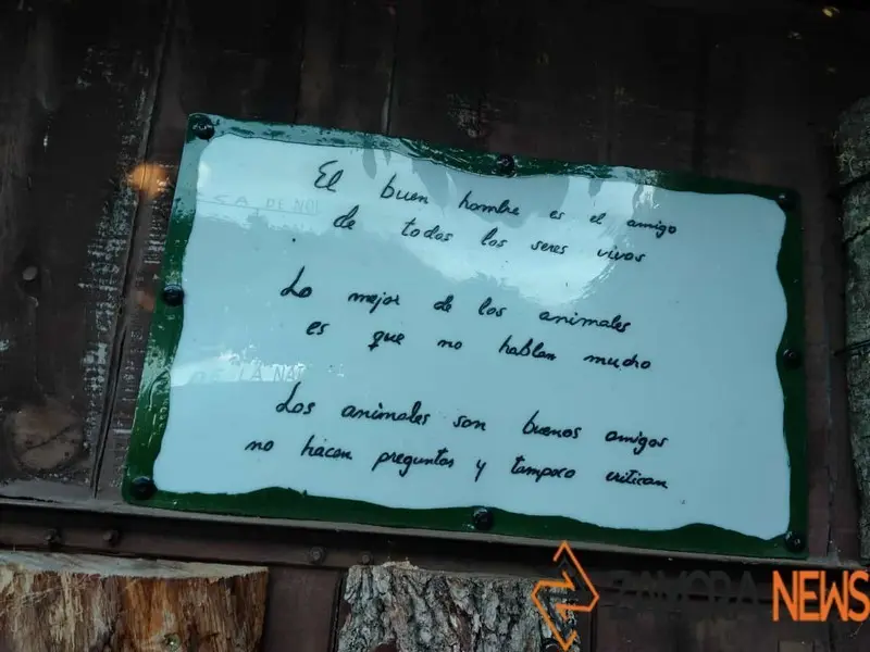 WhatsApp Image 2021-11-08 at 09.37.03 (4)