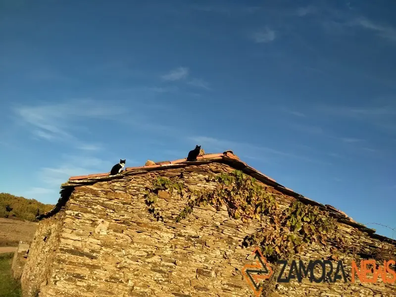 WhatsApp Image 2021-11-08 at 09.37.04 (1)