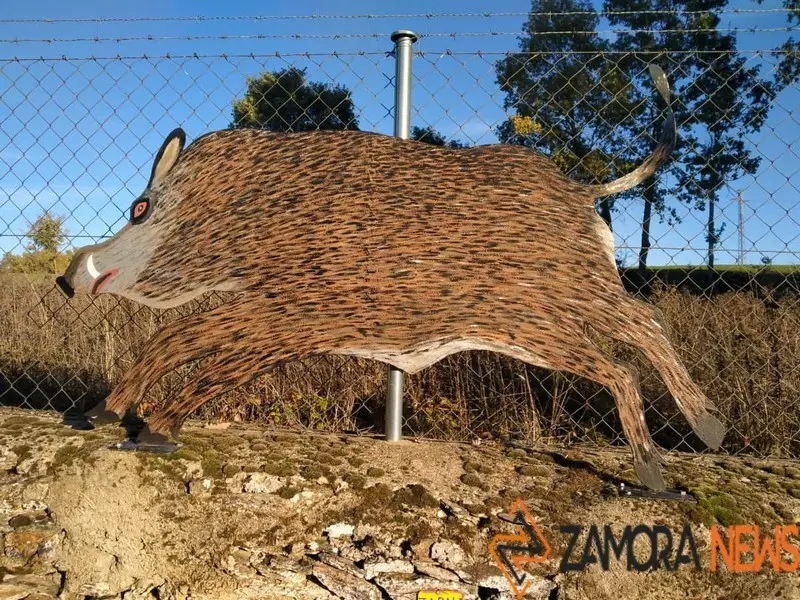 WhatsApp Image 2021-11-08 at 09.37.04 (2)