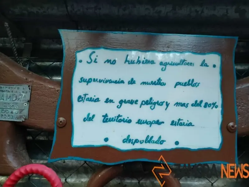 WhatsApp Image 2021-11-08 at 09.37.04 (3)