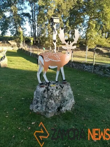 WhatsApp Image 2021-11-08 at 09.37.04 (5)