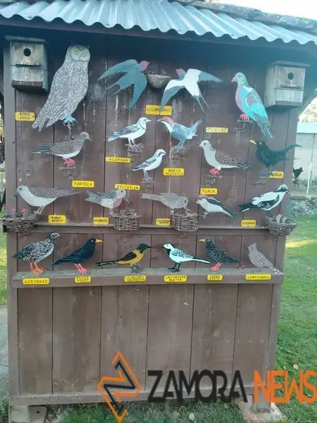 WhatsApp Image 2021-11-08 at 09.37.04 (6)