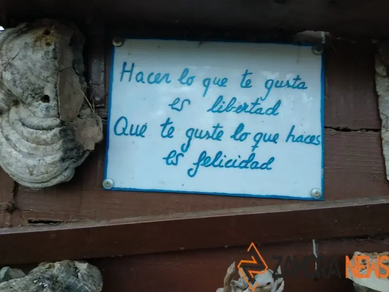 WhatsApp Image 2021-11-08 at 09.37.04