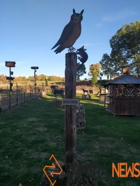 WhatsApp Image 2021-11-08 at 09.37.05 (1)