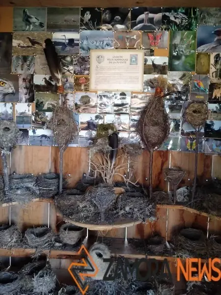 WhatsApp Image 2021-11-08 at 09.37.05 (2)