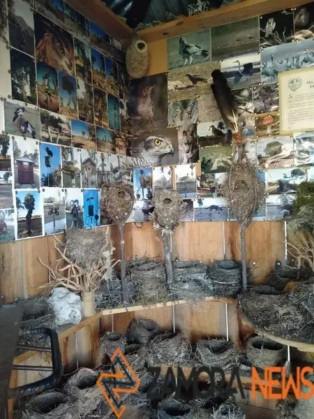 WhatsApp Image 2021-11-08 at 09.37.05 (5)