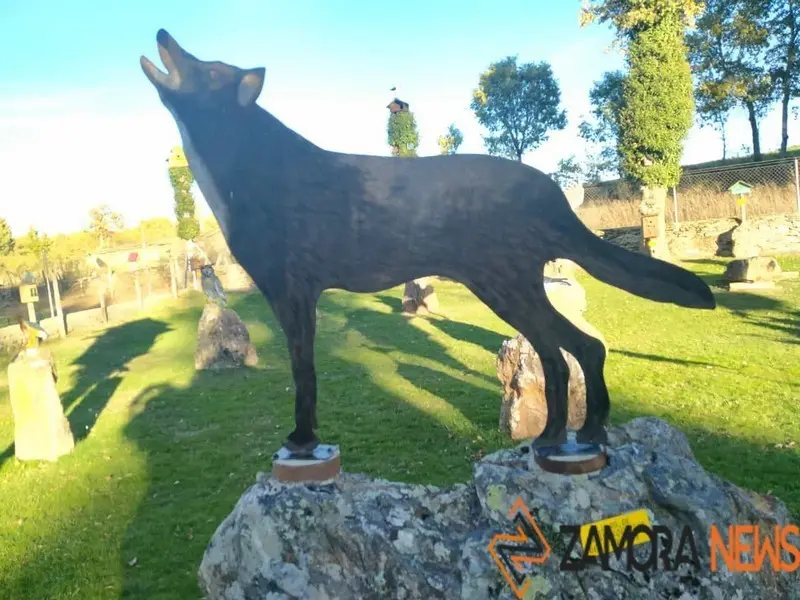 WhatsApp Image 2021-11-08 at 09.37.05 (6)