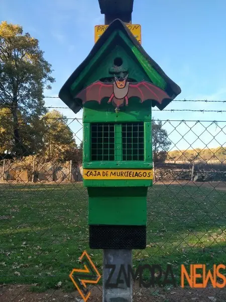 WhatsApp Image 2021-11-08 at 09.37.06 (1)