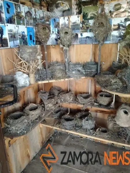 WhatsApp Image 2021-11-08 at 09.37.06 (2)