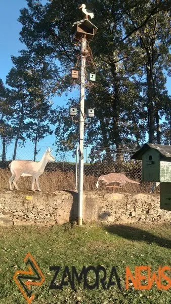 WhatsApp Image 2021-11-08 at 09.38.12