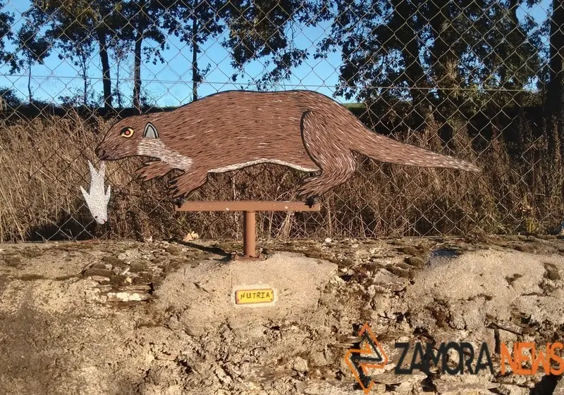 WhatsApp Image 2021-11-08 at 09.38.32