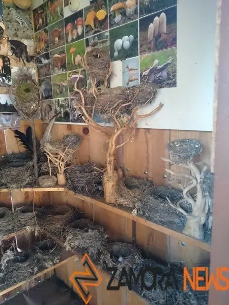 WhatsApp Image 2021-11-08 at 09.37.06