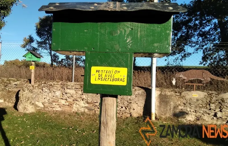 WhatsApp Image 2021-11-08 at 09.39.46