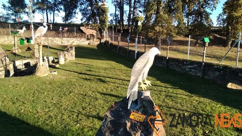 WhatsApp Image 2021-11-08 at 09.41.50