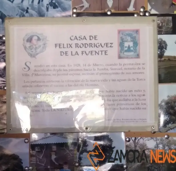 WhatsApp Image 2021-11-08 at 09.43.25