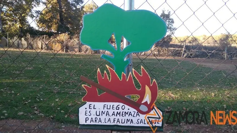 WhatsApp Image 2021-11-08 at 09.46.14