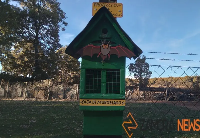 WhatsApp Image 2021-11-08 at 09.46.39