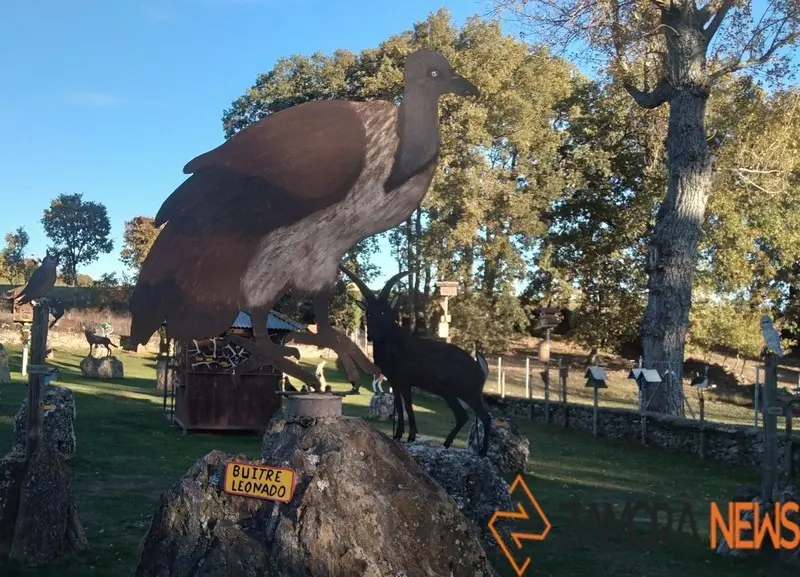 WhatsApp Image 2021-11-08 at 09.48.04