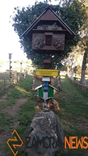 WhatsApp Image 2021-11-08 at 09.53.07