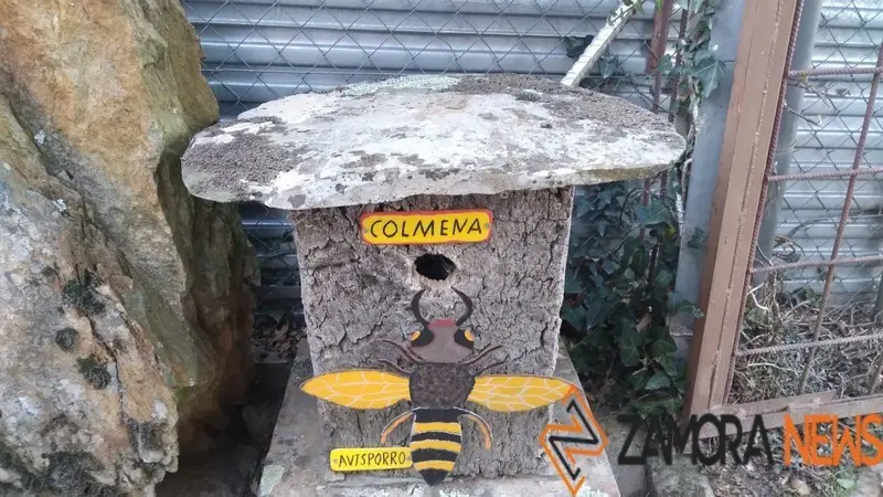 WhatsApp Image 2021-11-08 at 09.54.29