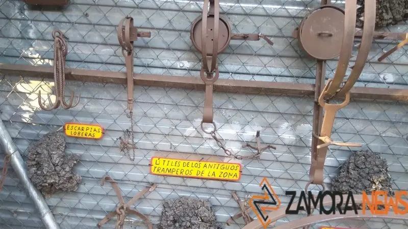 WhatsApp Image 2021-11-08 at 09.56.04