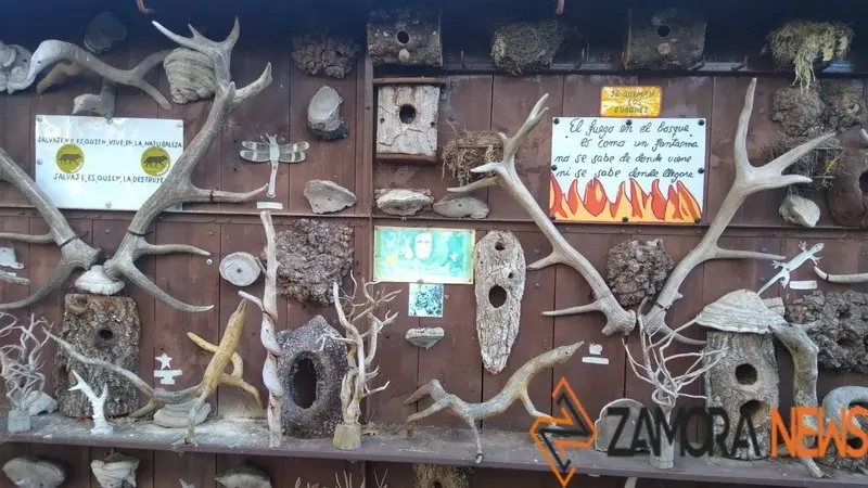 WhatsApp Image 2021-11-08 at 09.55.29