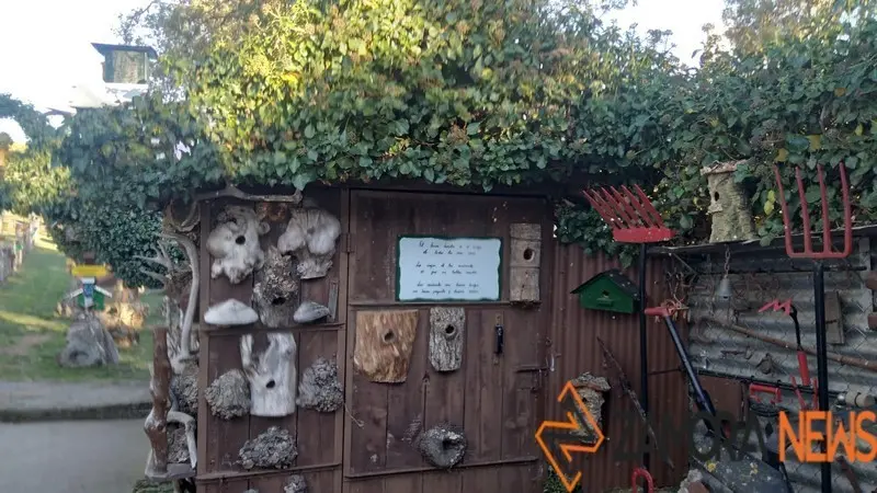 WhatsApp Image 2021-11-08 at 09.56.33