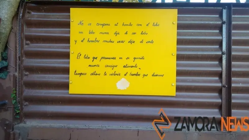 WhatsApp Image 2021-11-08 at 09.57.16