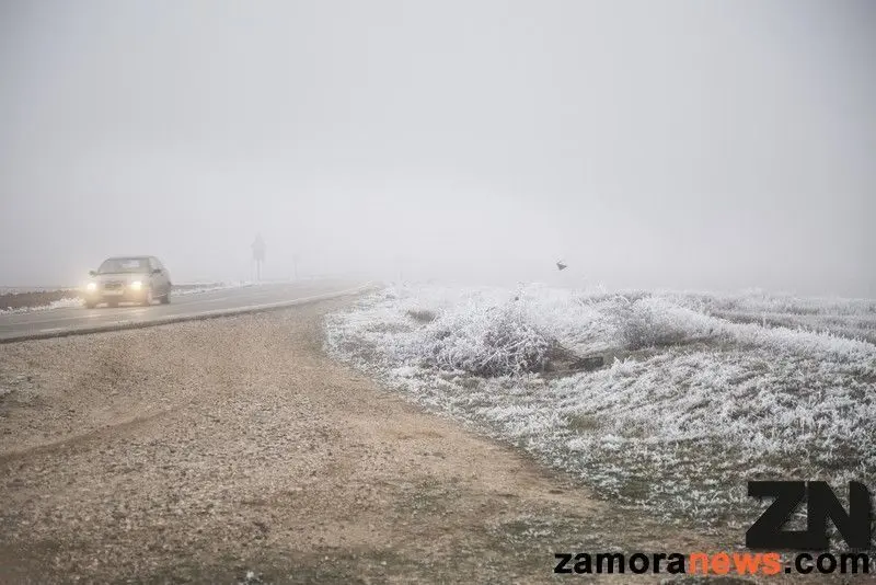 niebla zamora