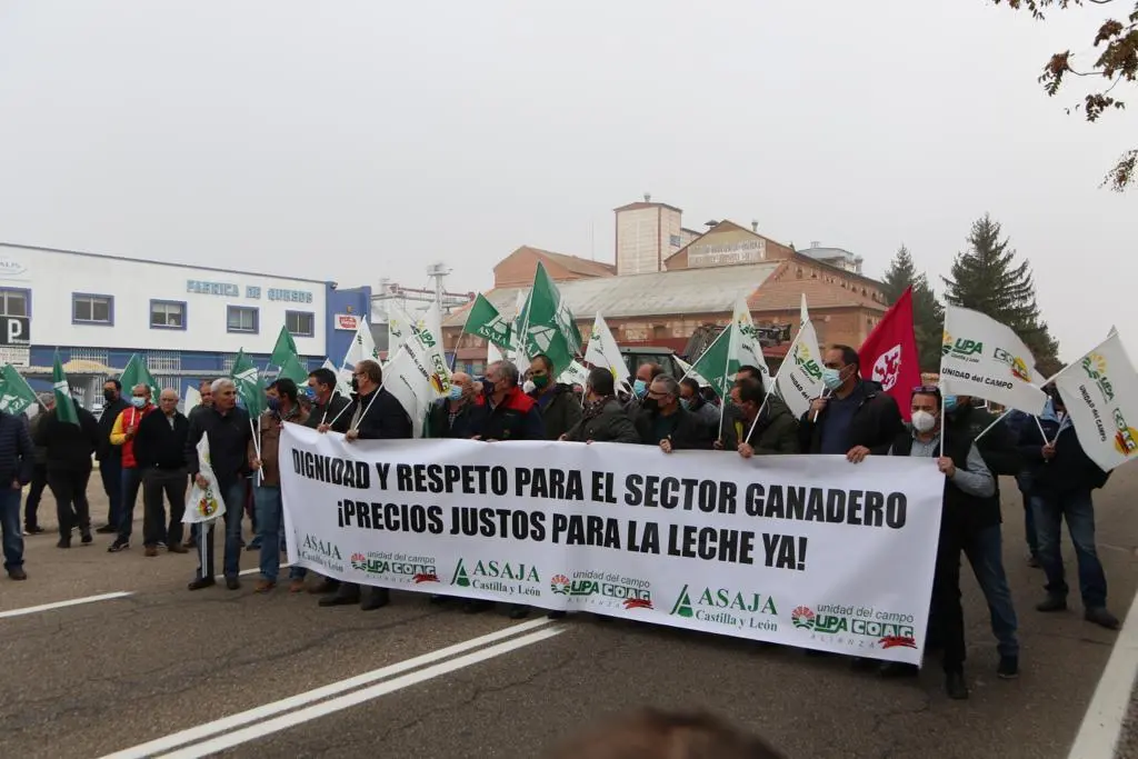 Manifestantes por el precio de la leche y los costes de producción lácteos en la capital. | Foto archivo