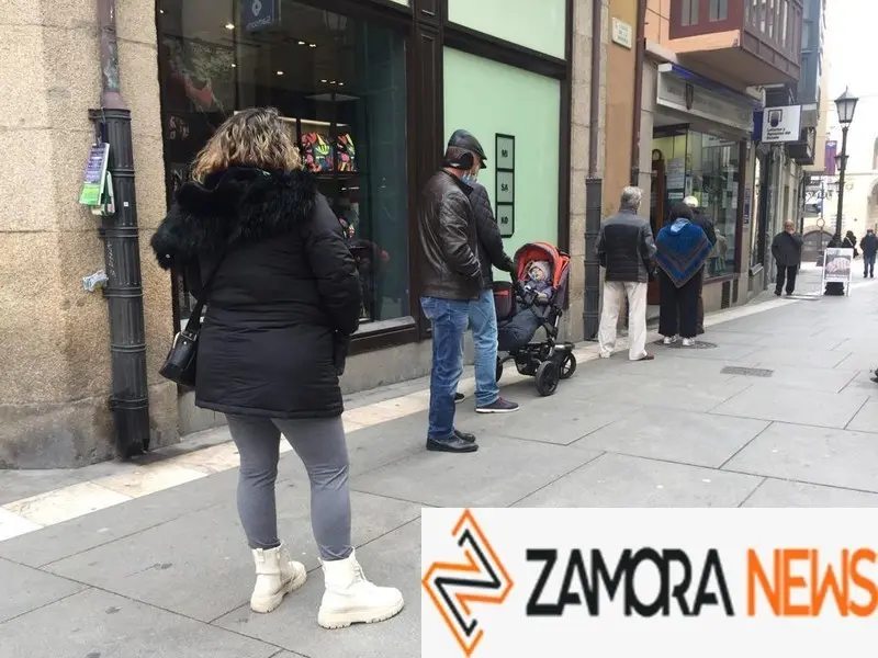 Viandantes por Zamora