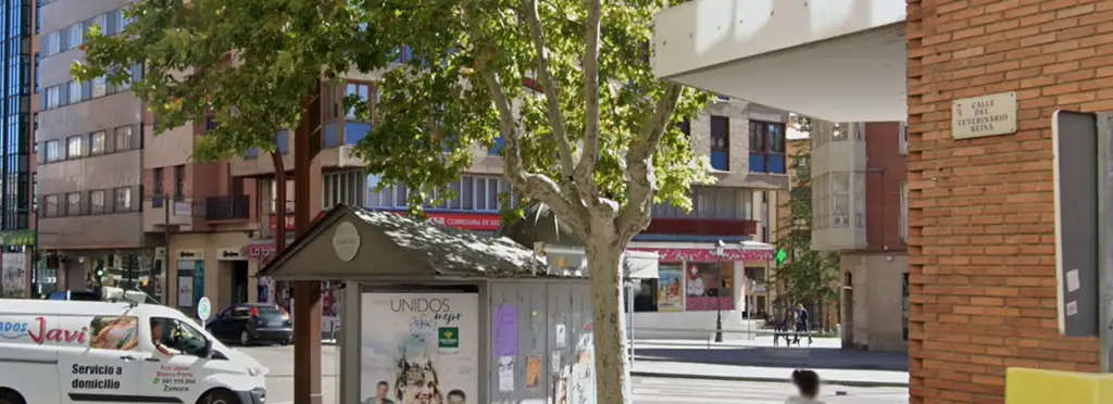 Calle del veterinario Reina