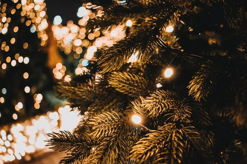 Árbol de Navidad