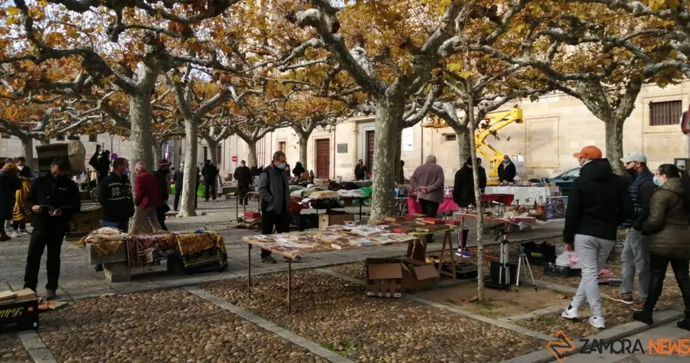 mercadillo dominical