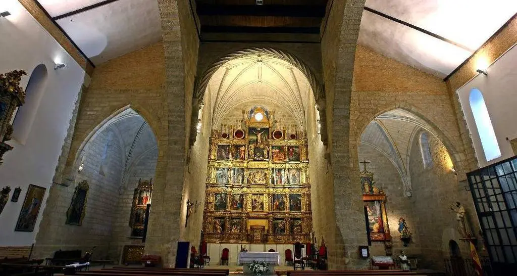 Santo tomás toro