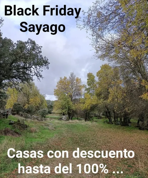 Black Friday en Sayago