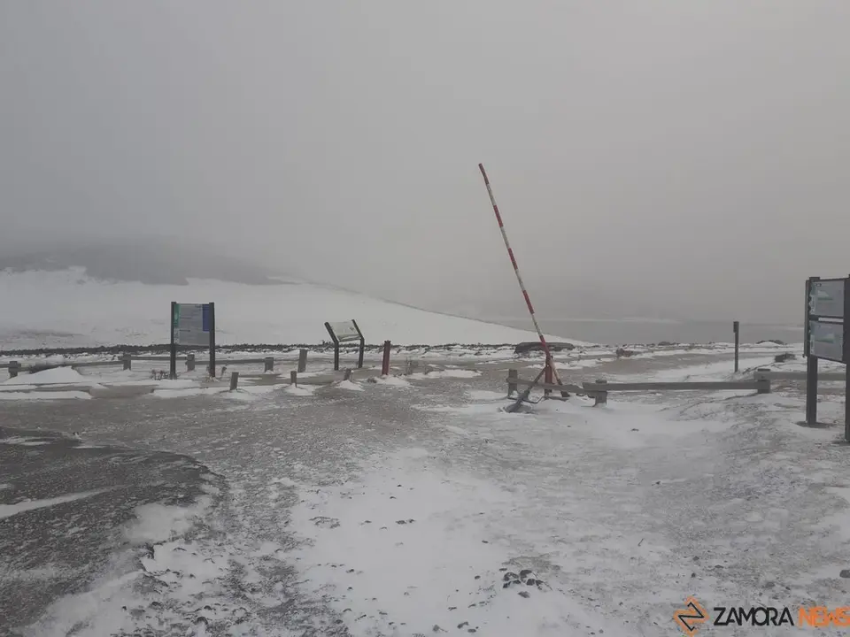 Sanabria peces nieve ventisca