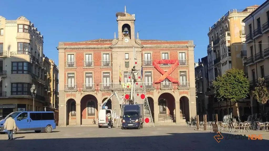 Abeto navideño.