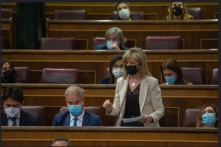 Elvira Velasco en el Pleno del Congreso