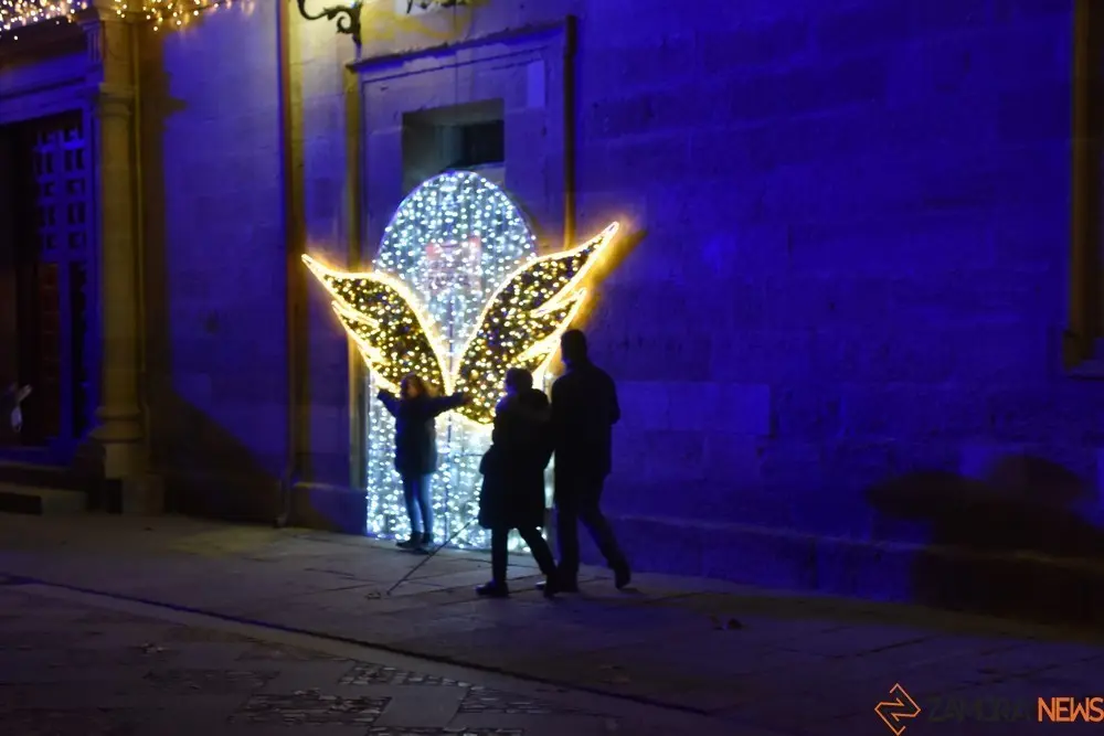 luces navidad zamora (38)