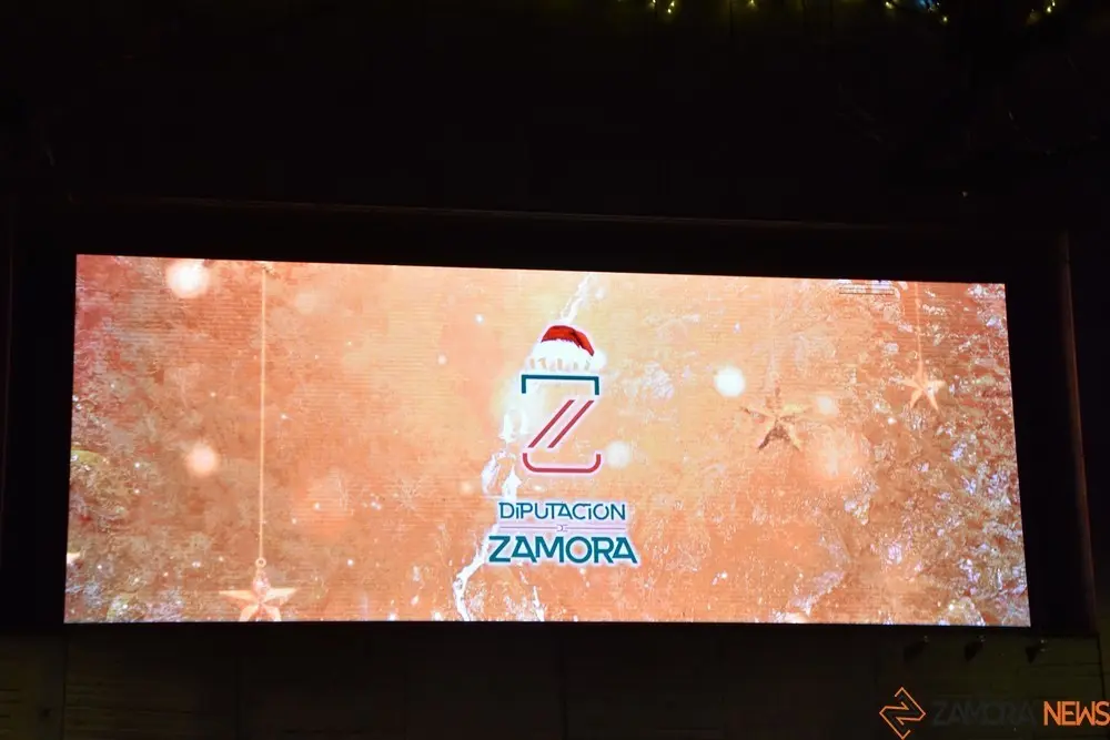 luces navidad zamora (41)