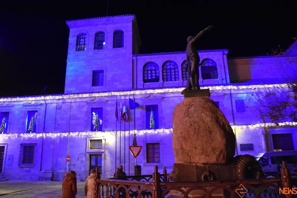 luces navidad zamora (44)