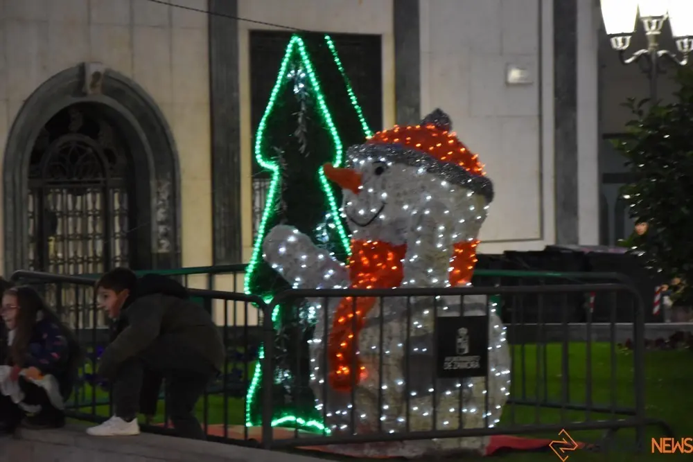 luces navidad zamora (59)