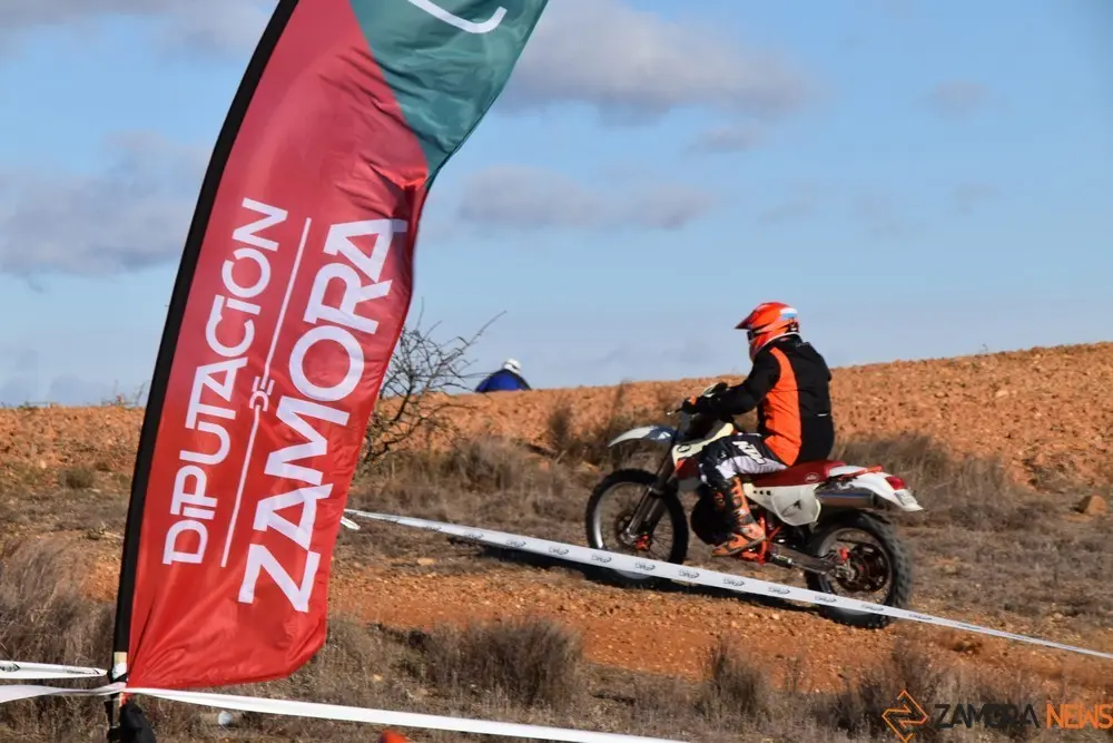 cross country coreses algodre diputación zamora (94)