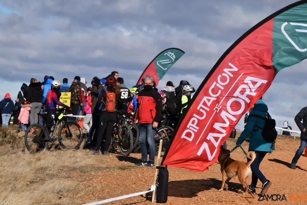 cross country coreses algodre diputación zamora (217)