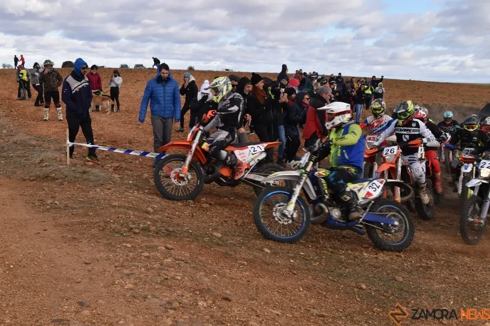 cross country coreses algodre diputación zamora (319)