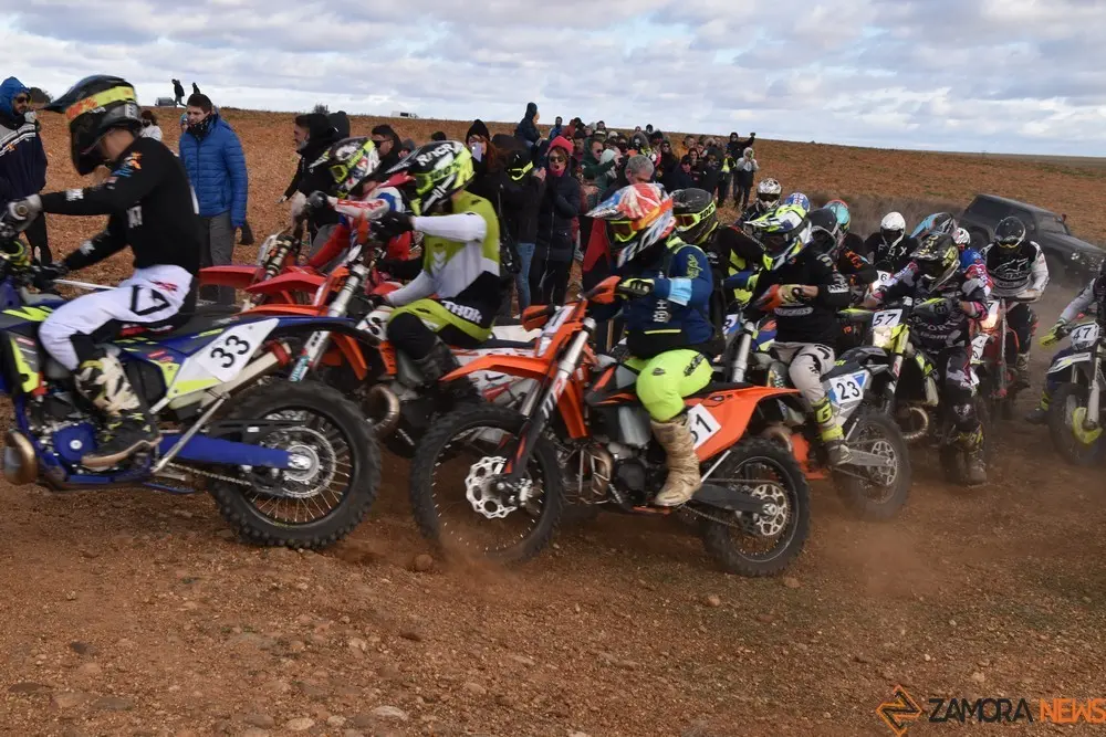 cross country coreses algodre diputación zamora (324)