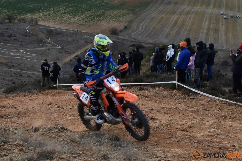 cross country coreses algodre diputación zamora (370)