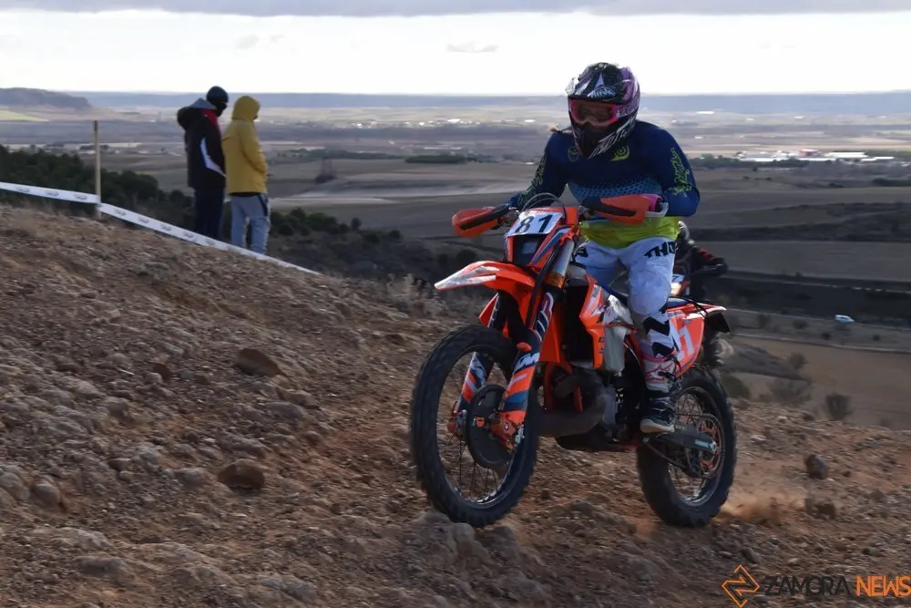 cross country coreses algodre diputación zamora (416)